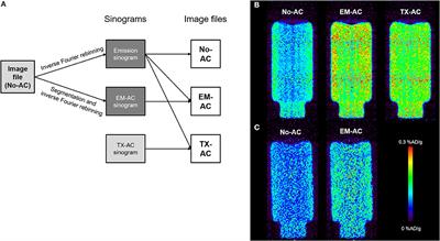 Impact of Attenuation Correction on Quantification Accuracy in Preclinical Whole-Body PET Images
